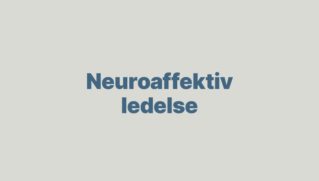 Mette tog på Neuroaffektiv Lederuddannelse: “Alle ledere burde have den som obligatorisk uddannelse”